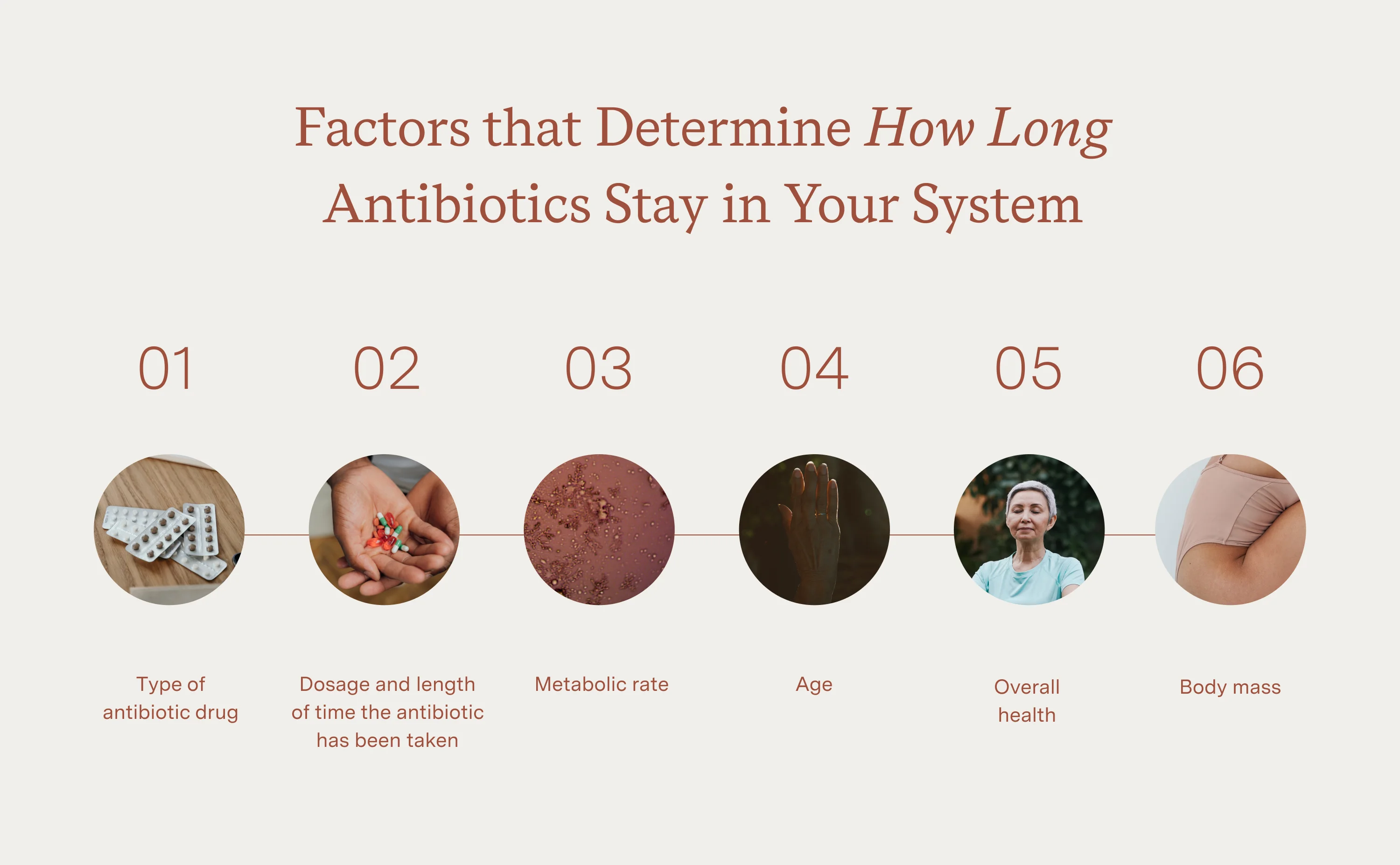 How Long Do Nootropics Stay In Your System How Long Do Antibiotics Stay in Your System?